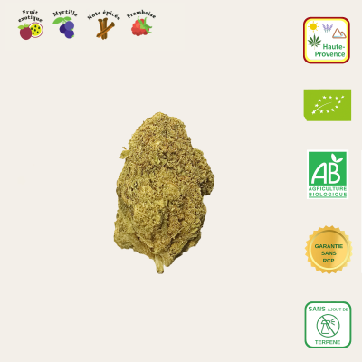 Fleurs CBD de Yoda Kush - Le Canebier en Provence7